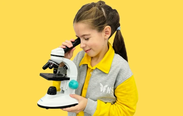 evo-Research skills